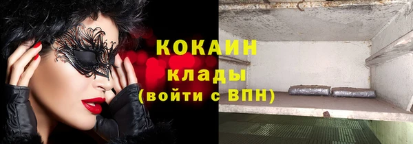 индика Арсеньев