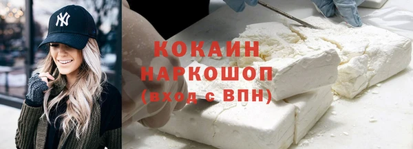 индика Арсеньев