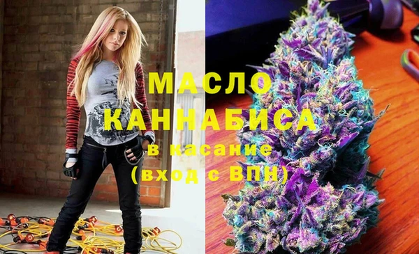 индика Арсеньев