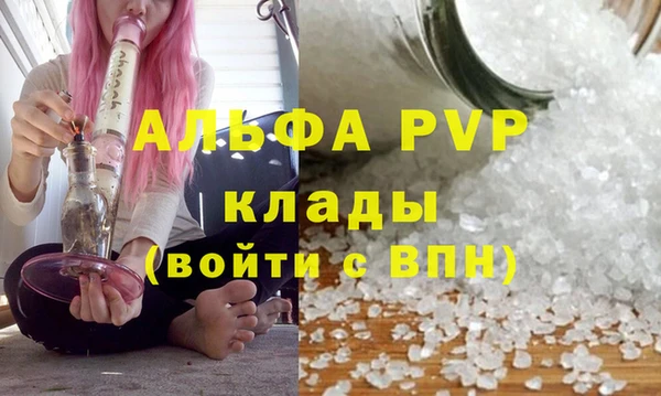 кокс Баксан