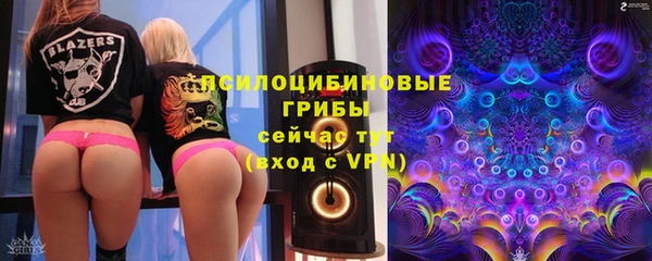 стафф Армянск