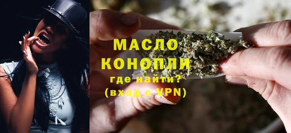 индика Арсеньев