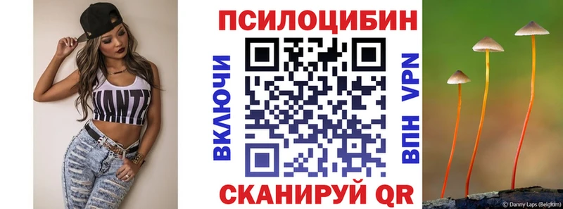 Галлюциногенные грибы Cubensis  Купить  Сегежа 